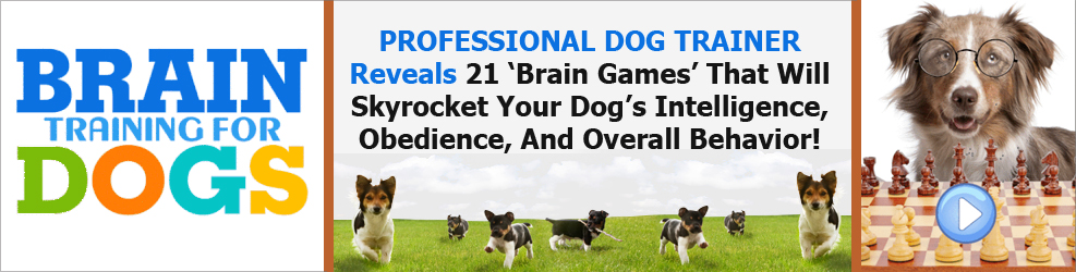 Brain Training For Dogs by Online Dog Trainer Adrienne Farricelli